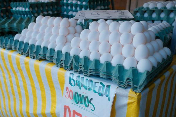 Fabrication industrielle de truffes chocmod : l'excellence française