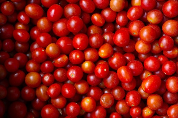 Moulin poivre électrique : un incontournable pour votre cuisine